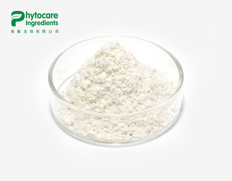 Polygonum Cuspidatum Extract Powder